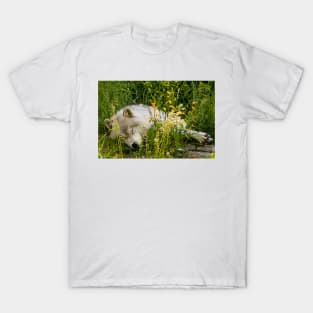 Arctic Wolf T-Shirt